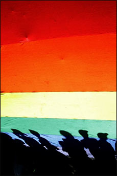 LGBTI rainbow flag.jpg